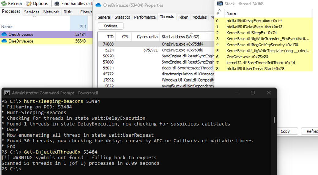 Target process scanned for anomalies